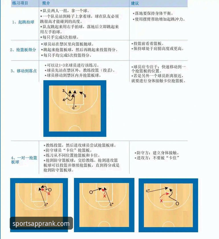 体育APP选择指南：2025年必知的实用技巧与核心要点